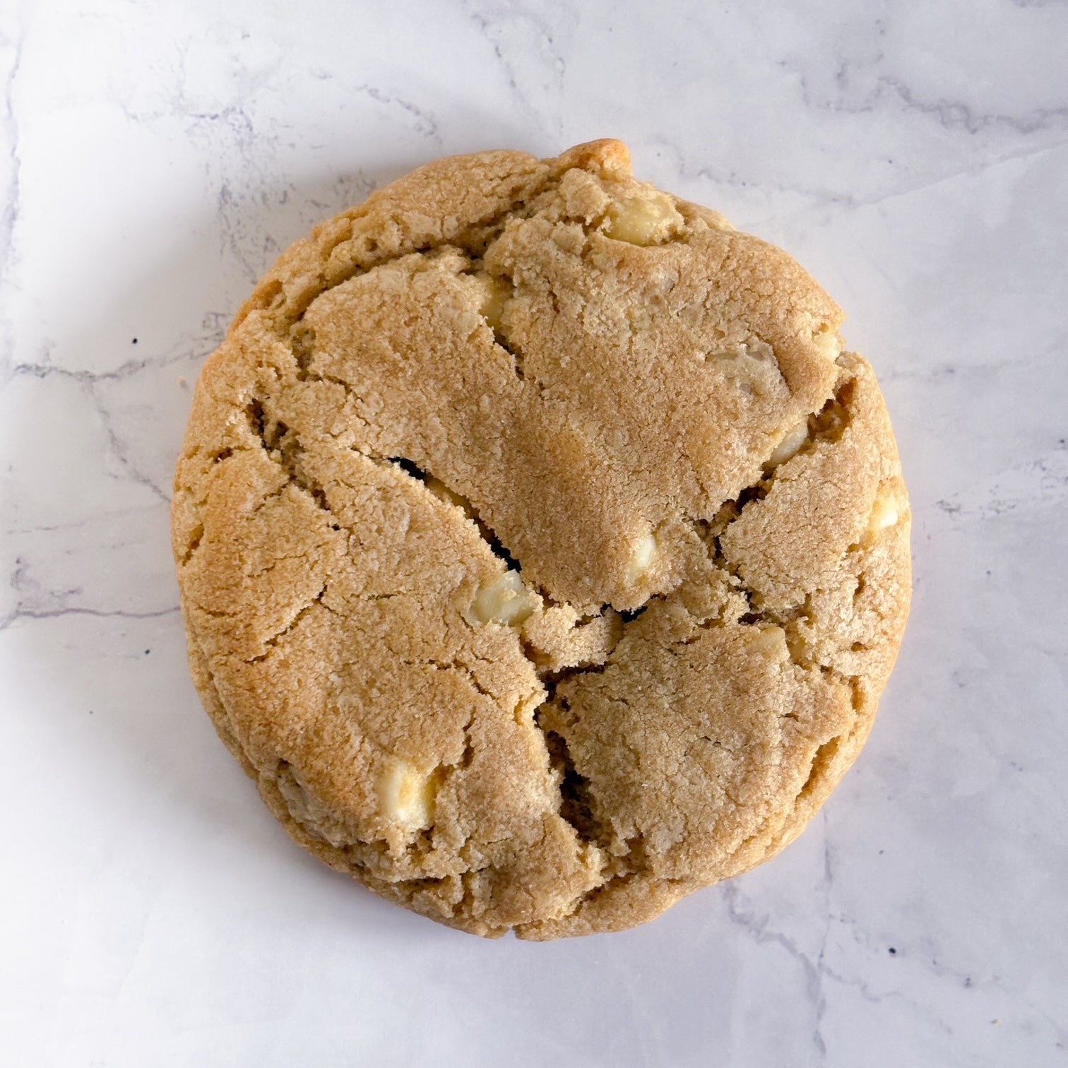 White Chocolate Macadamia Nut Cookie